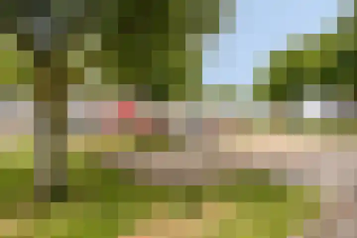 Ansjovislaan 51 Bergen op Zoom thumbnail 42