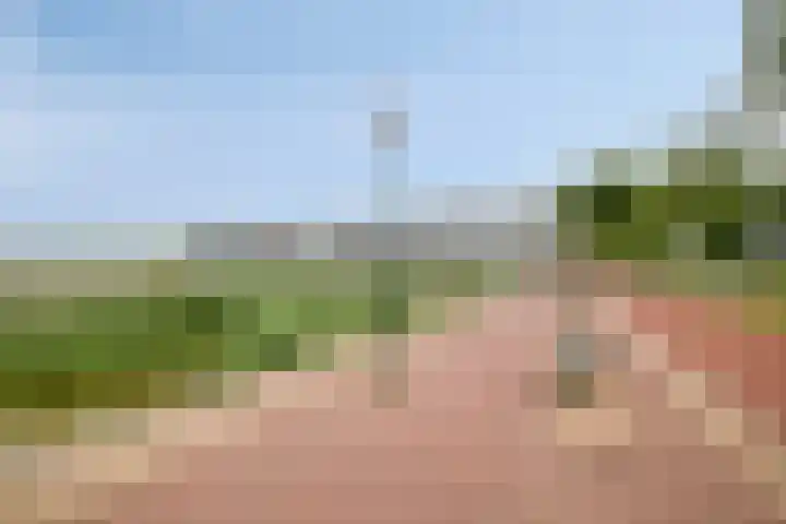 Ansjovislaan 51 Bergen op Zoom thumbnail 43