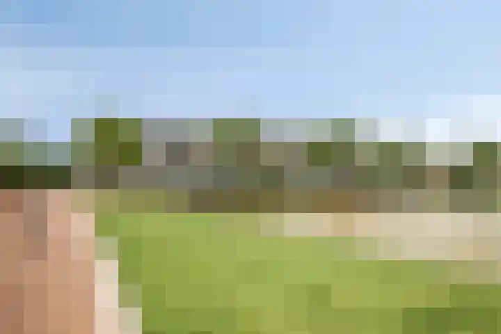Ansjovislaan 51 Bergen op Zoom thumbnail 46
