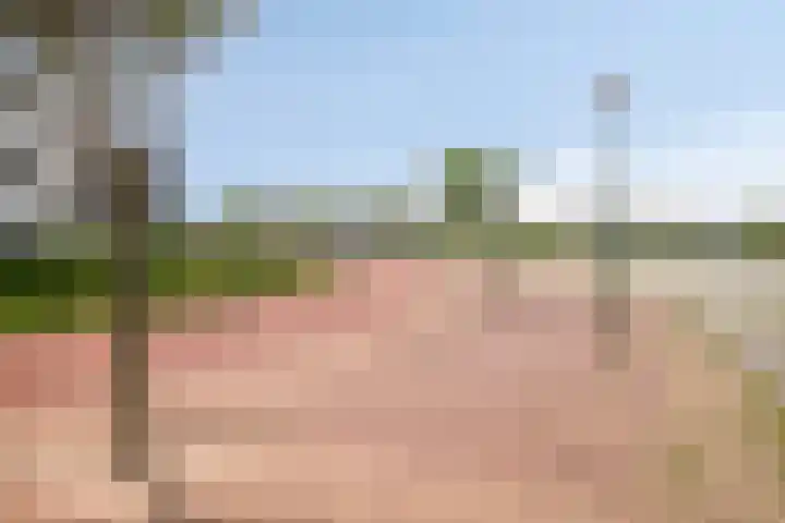 Ansjovislaan 51 Bergen op Zoom thumbnail 47