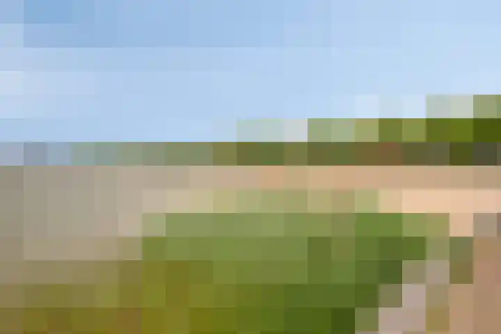 Ansjovislaan 51 Bergen op Zoom thumbnail 48