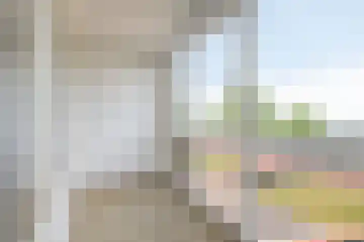 Ansjovislaan 51 Bergen op Zoom thumbnail 5