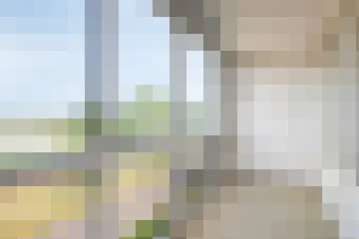 Ansjovislaan 51 Bergen op Zoom thumbnail 6