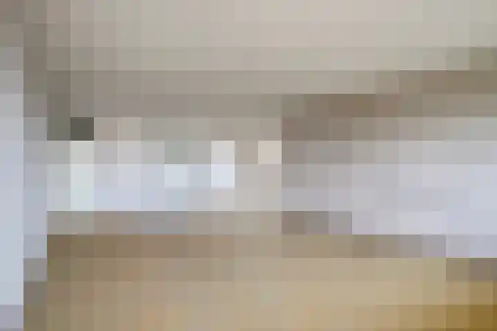 Ansjovislaan 51 Bergen op Zoom thumbnail 8