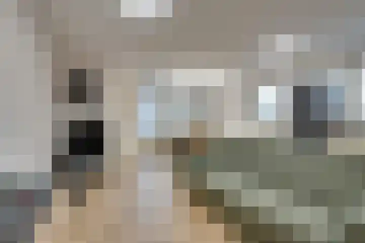 Ansjovisstraat 18 Volendam thumbnail 12