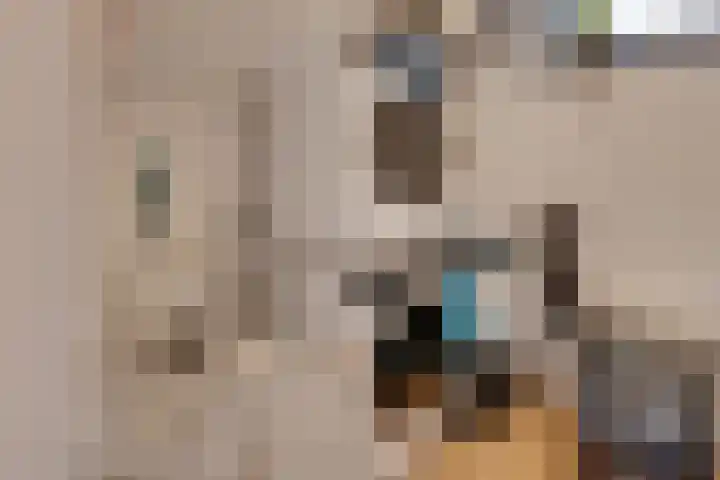 Ansjovisstraat 18 Volendam thumbnail 36