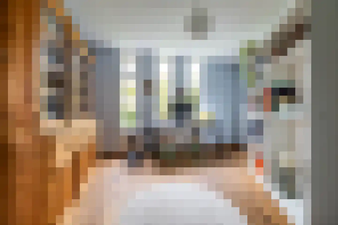Anssen 14 Zuidlaren thumbnail 20