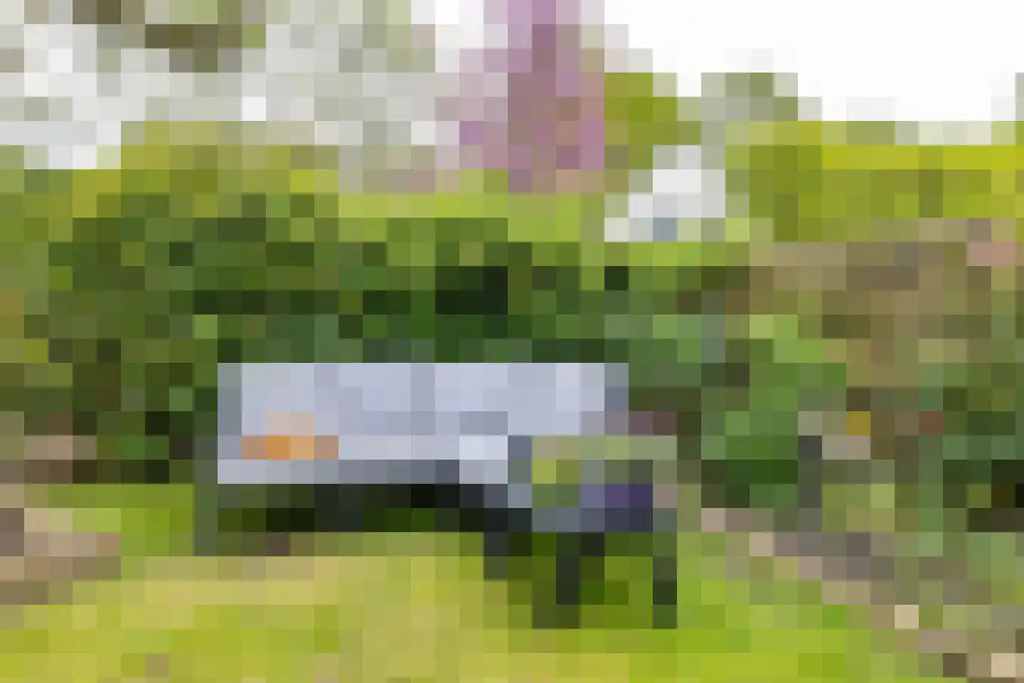 Anssen 14 Zuidlaren thumbnail 30