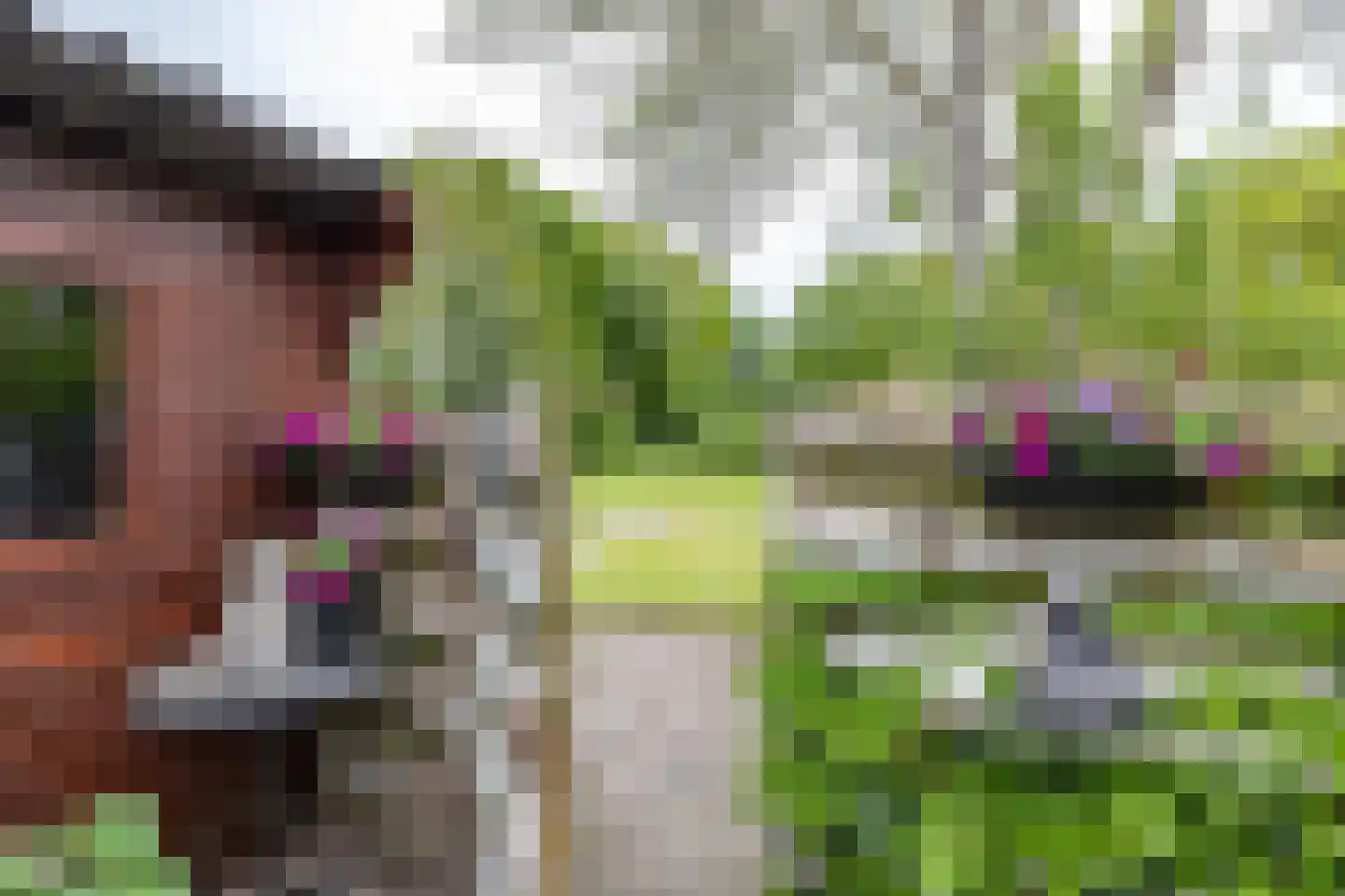 Anssen 14 Zuidlaren thumbnail 32