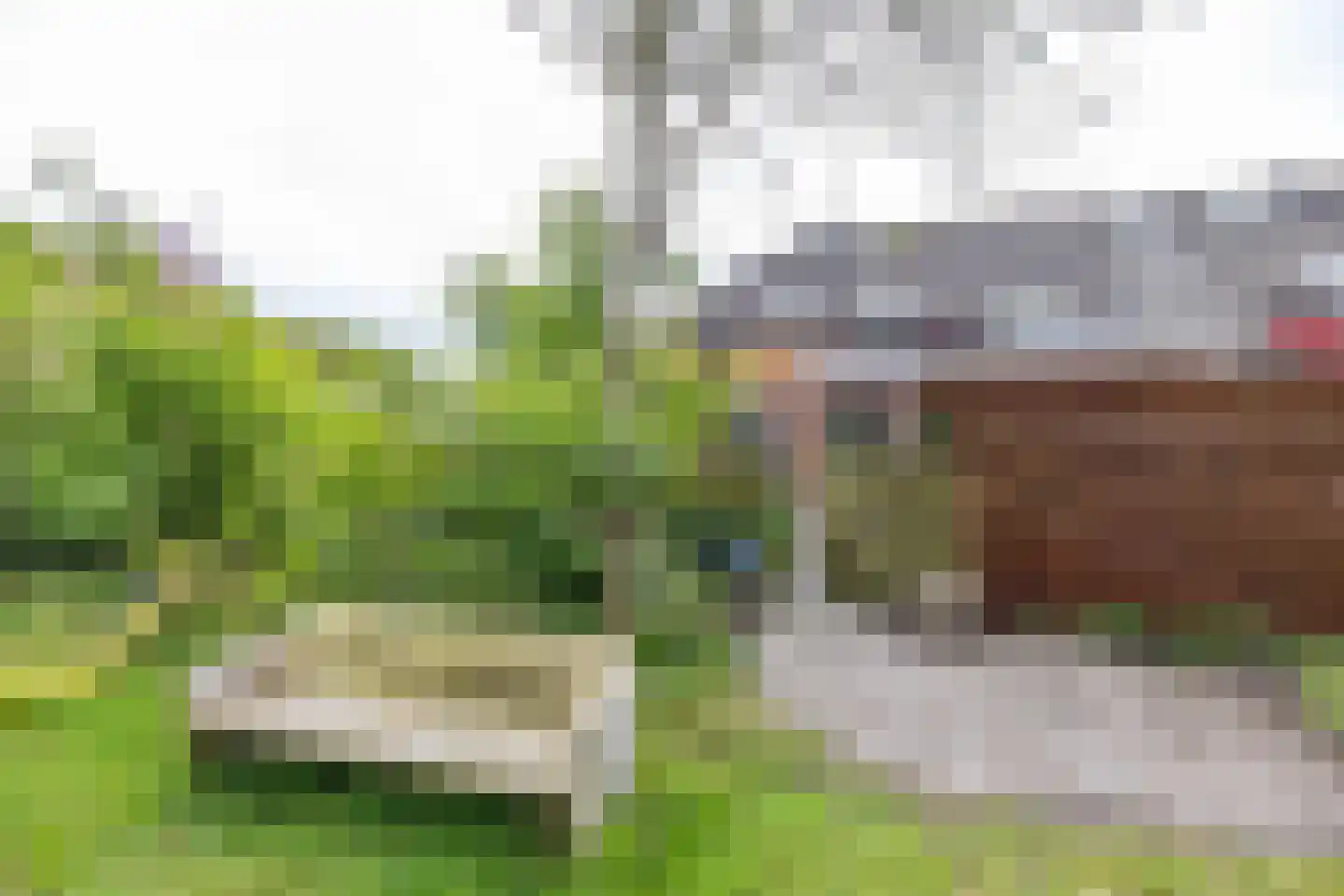 Anssen 14 Zuidlaren thumbnail 34