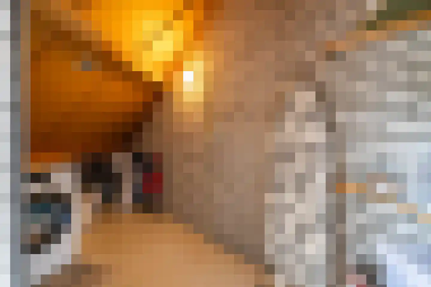 Anssen 14 Zuidlaren thumbnail 52