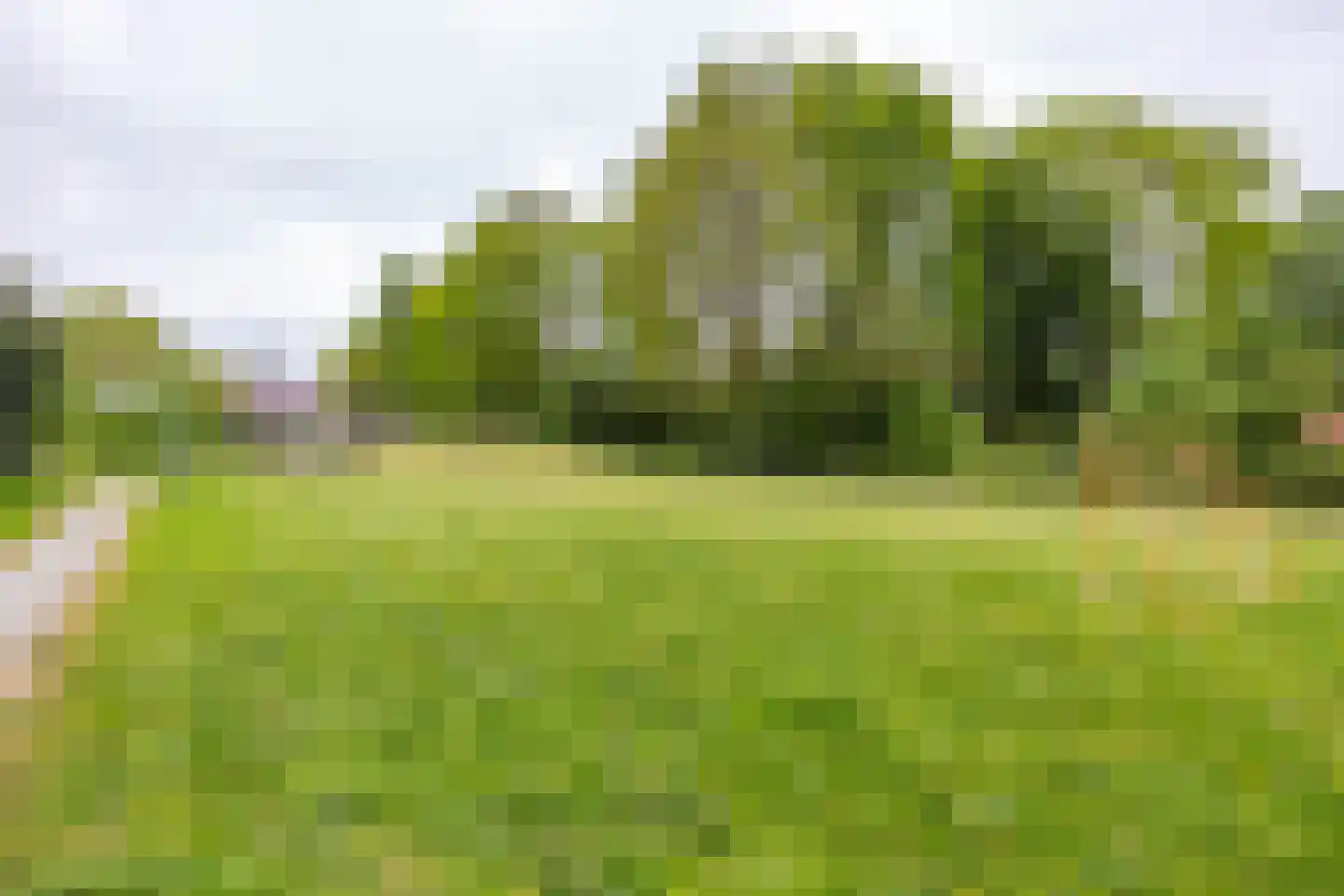 Anssen 14 Zuidlaren thumbnail 56