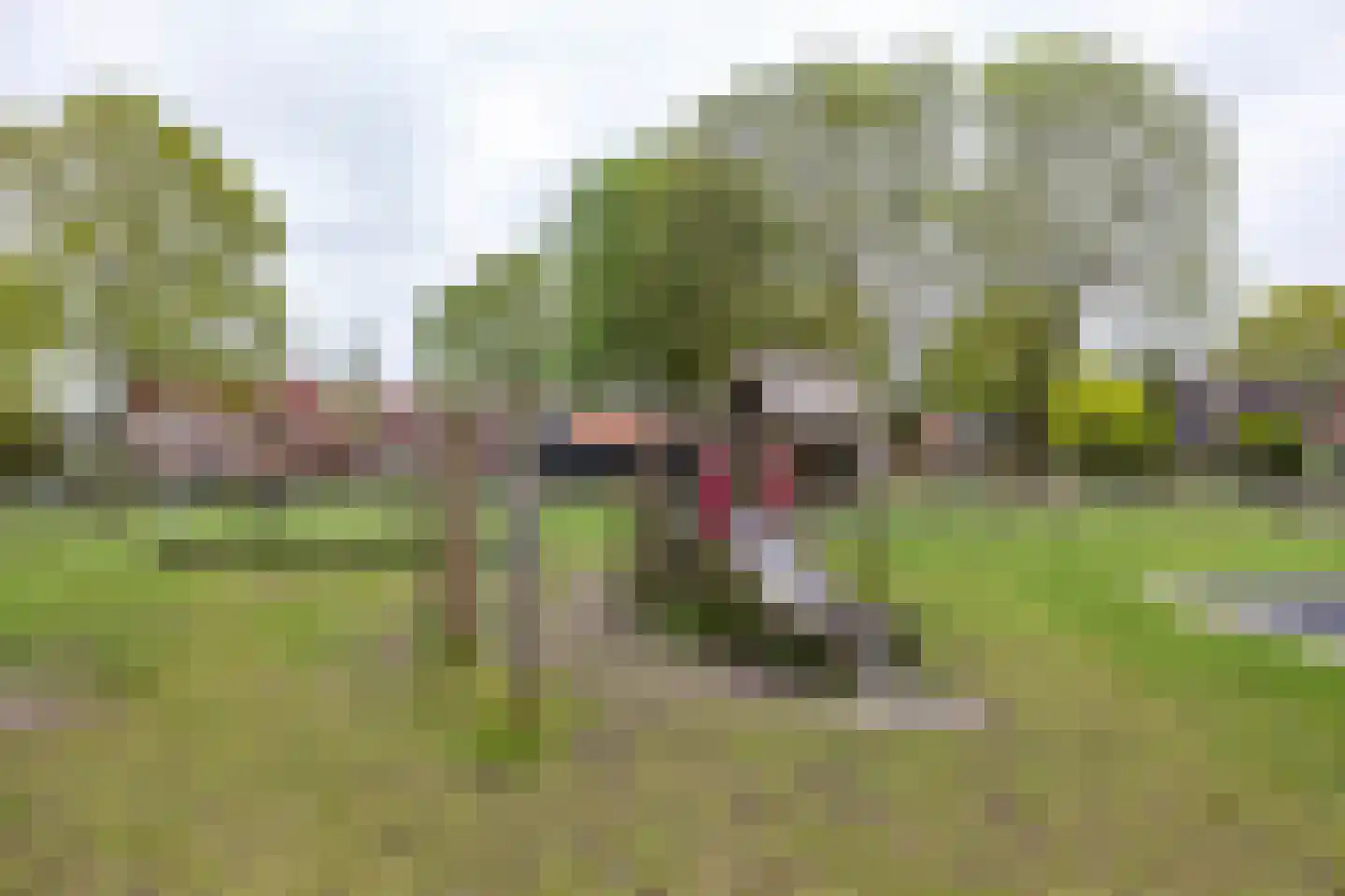 Anssen 14 Zuidlaren thumbnail 57