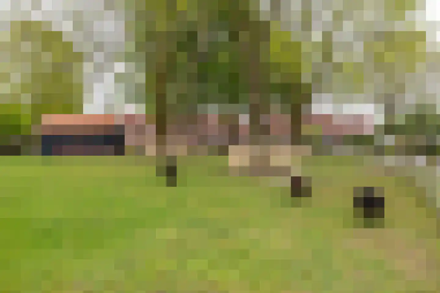 Anssen 14 Zuidlaren thumbnail 59