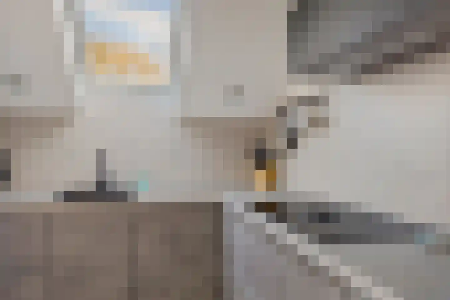 Anssen 36 Zuidlaren thumbnail 17