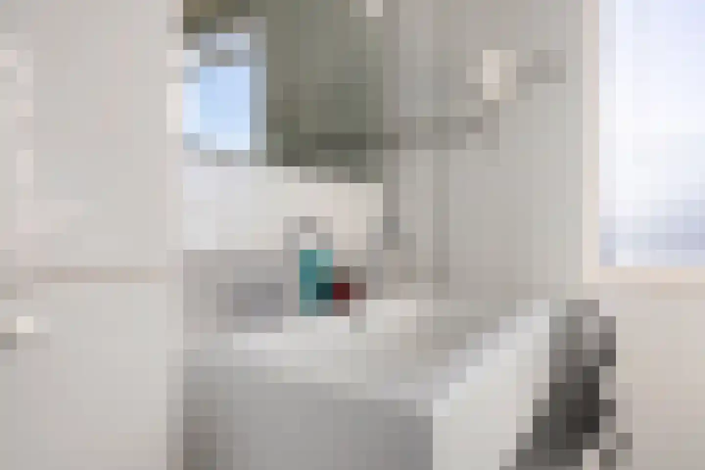 Anssen 36 Zuidlaren thumbnail 31