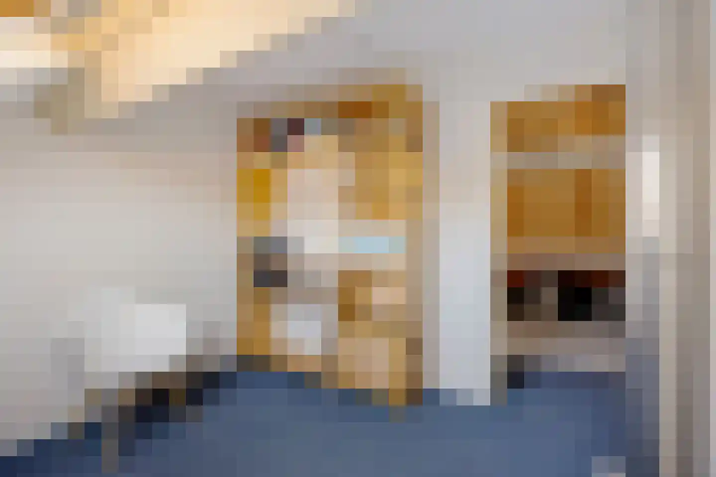 Anssen 36 Zuidlaren thumbnail 34