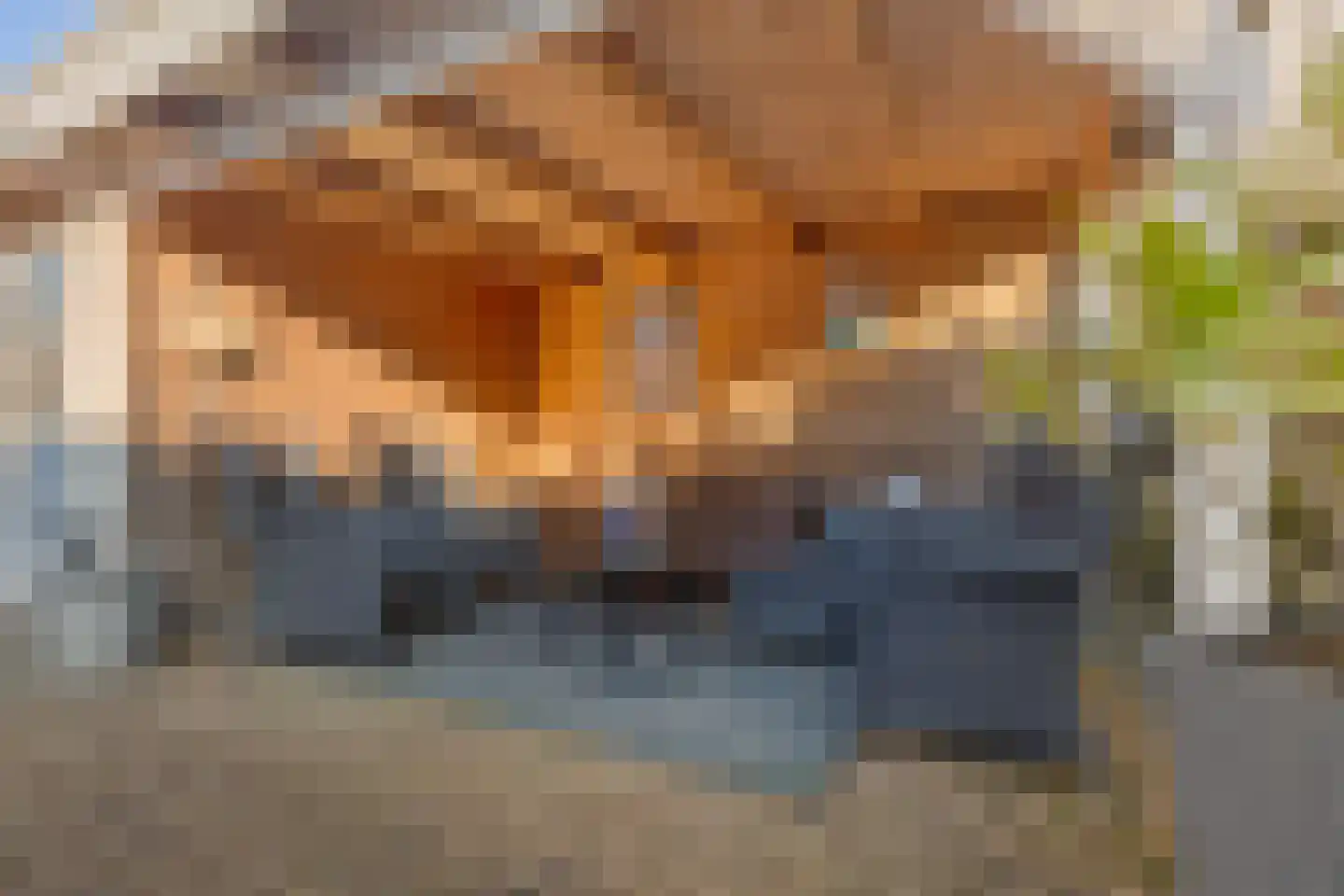 Anssen 36 Zuidlaren thumbnail 40