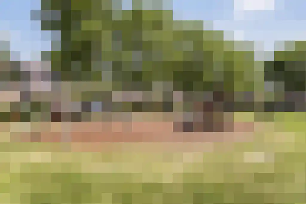 Anssen 36 Zuidlaren thumbnail 44
