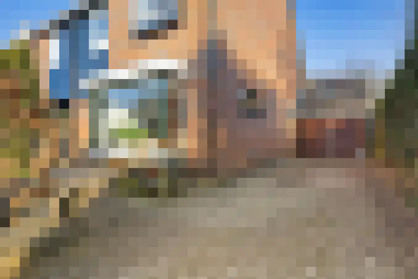 Anssen 36 Zuidlaren thumbnail 7