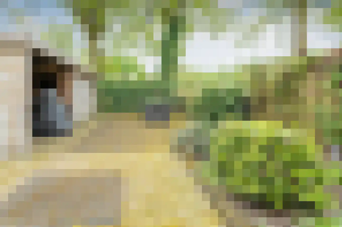 Anssenstraat 5 Sleen thumbnail 31
