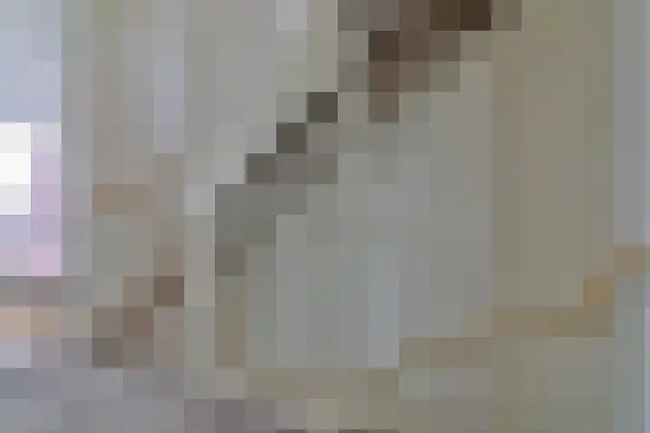 Antares 1 Hoogeveen thumbnail 32