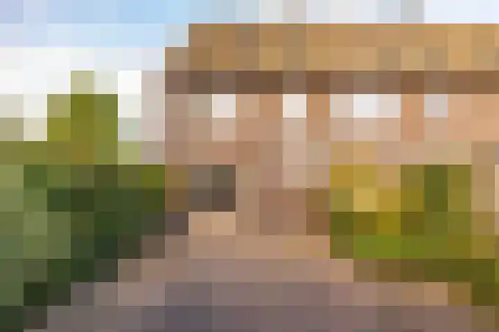 Antares 1 Hoogeveen thumbnail 38