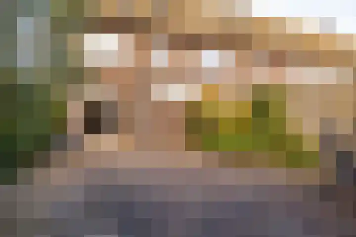 Antares 1 Hoogeveen thumbnail 40