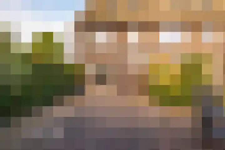 Antares 1 Hoogeveen thumbnail 42