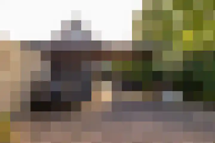 Antares 1 Hoogeveen thumbnail 44