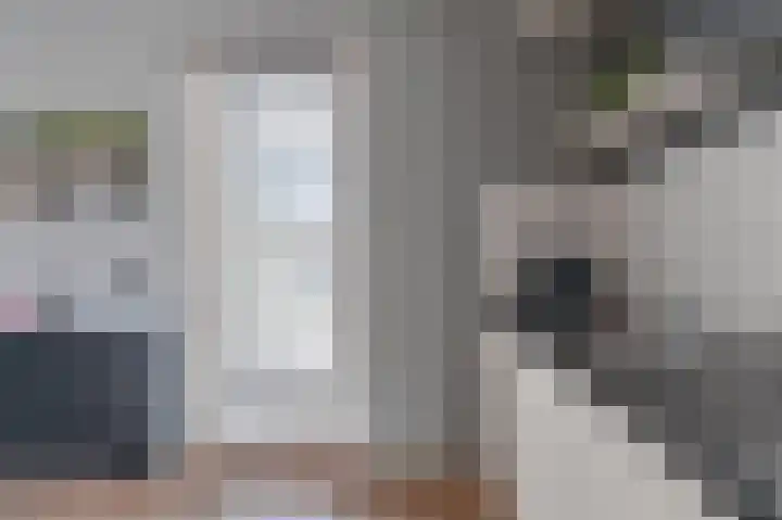 Antares 5 Hoogeveen thumbnail 21