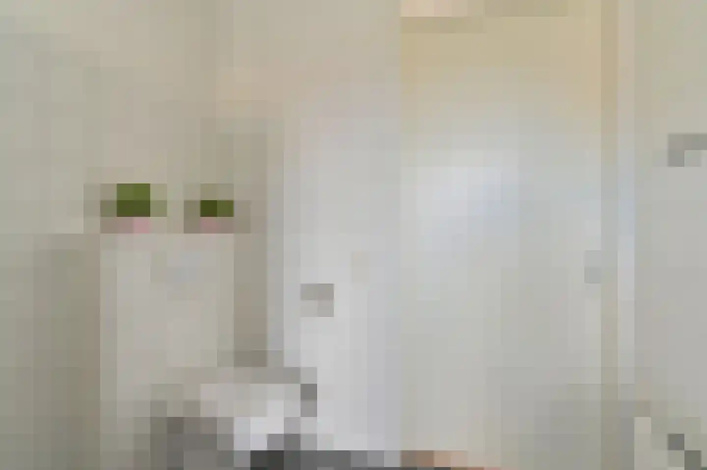 Antares 5 Hoogeveen thumbnail 31