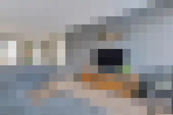 Antares 5 Hoogeveen thumbnail 9