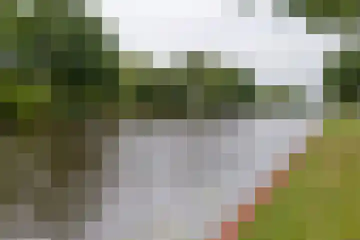 Antares 8 Hoogeveen thumbnail 52