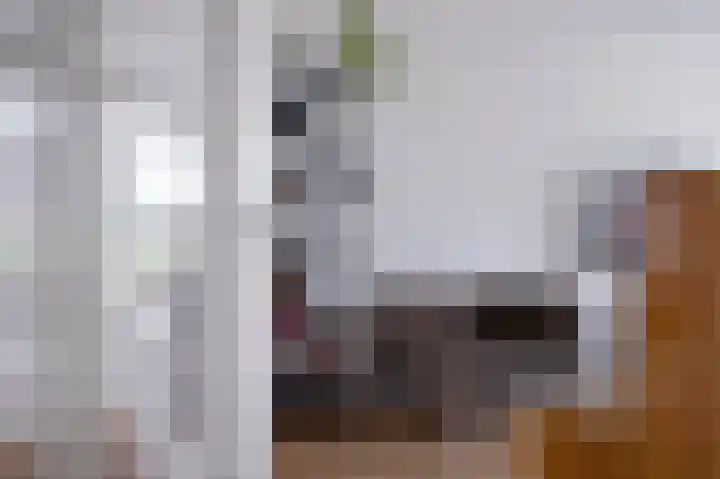 Antares 8 Hoogeveen thumbnail 6