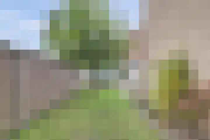 Antareshof 2 Dordrecht thumbnail 20