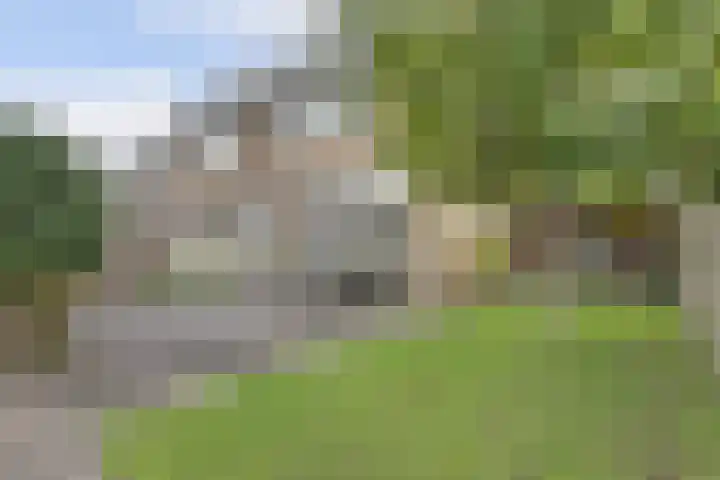Antareshof 2 Dordrecht thumbnail 21