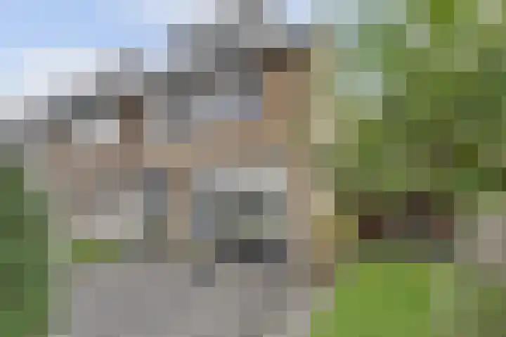 Antareshof 2 Dordrecht thumbnail 22