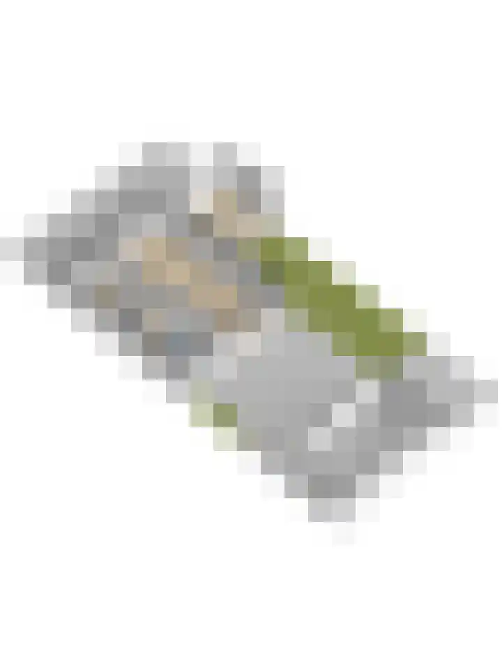 Antareshof 2 Dordrecht thumbnail 32