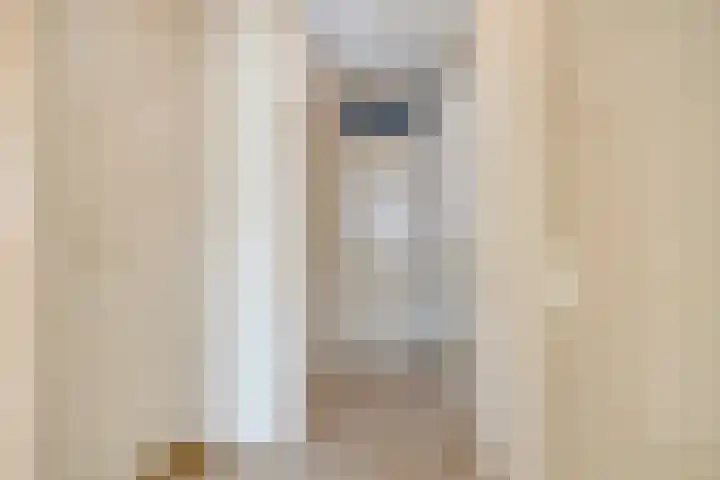Antenburgt 45 Heesch thumbnail 18