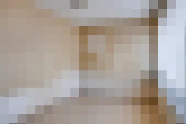 Antenburgt 45 Heesch thumbnail 21