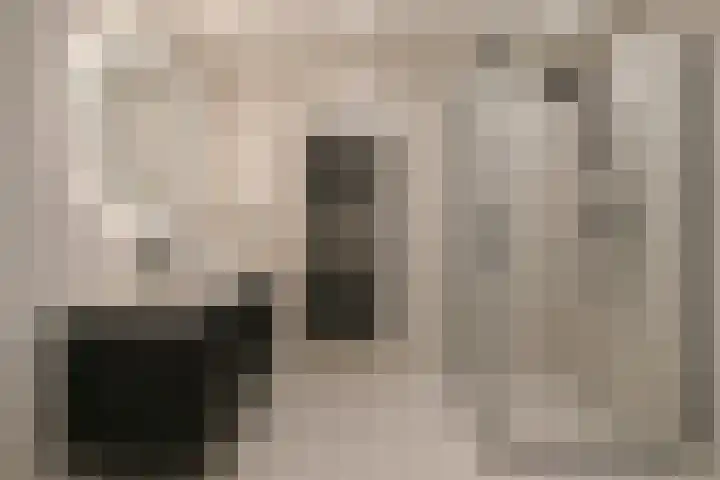 Antenburgt 45 Heesch thumbnail 26