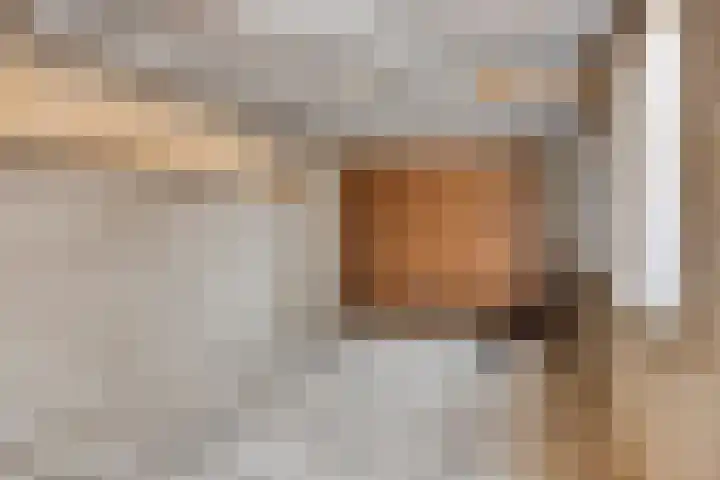 Antenburgt 45 Heesch thumbnail 30