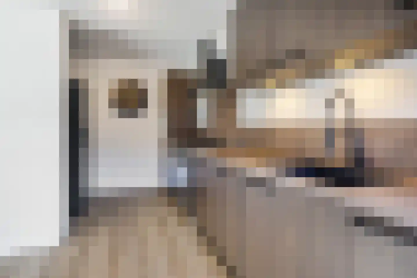Antennestraat 12 Huizen thumbnail 13
