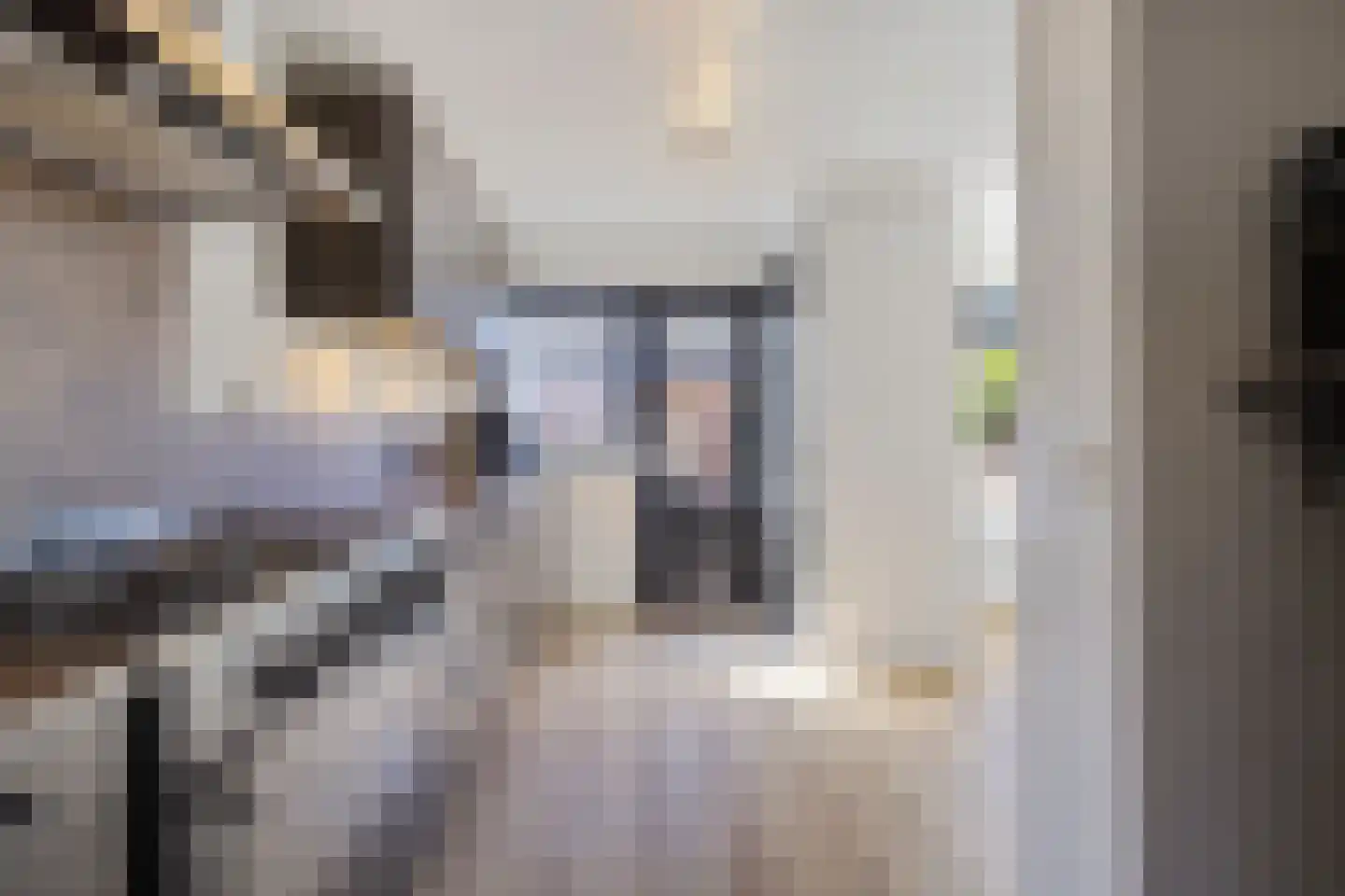 Antennestraat 12 Huizen thumbnail 16