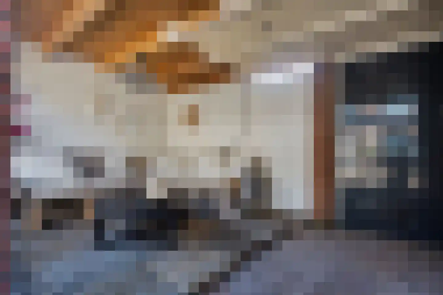 Antennestraat 12 Huizen thumbnail 21