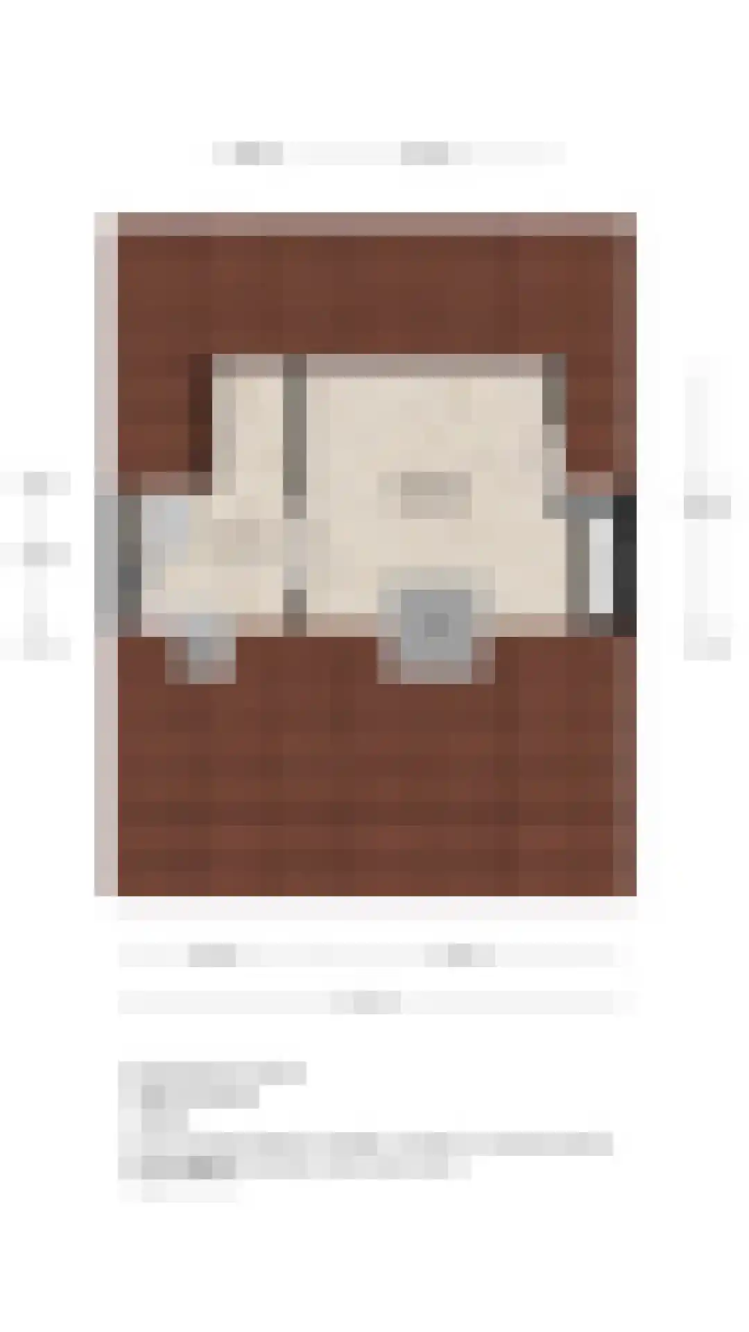 Antennestraat 12 Huizen thumbnail 49