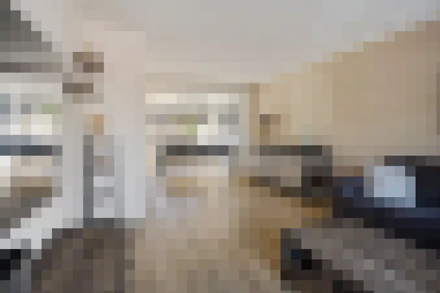 Antennestraat 12 Huizen thumbnail 5