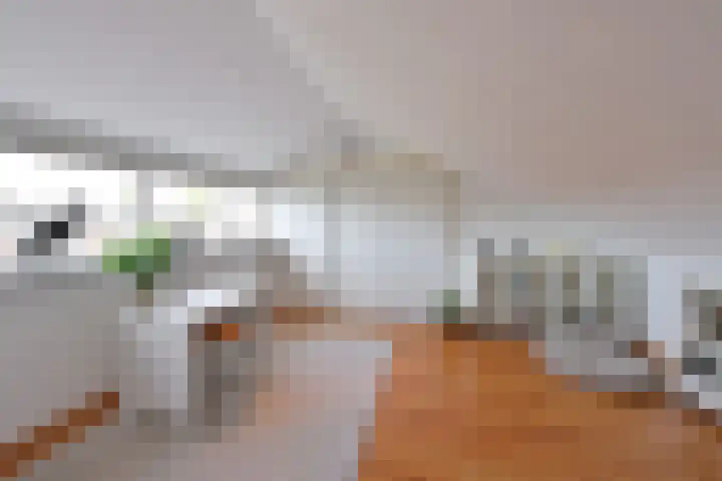 Antennestraat 16 Huizen thumbnail 14