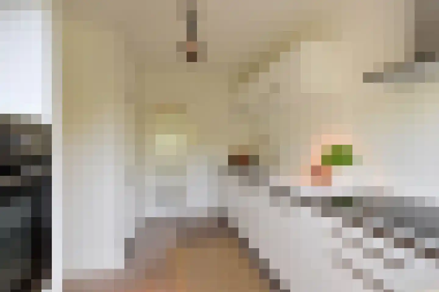 Antennestraat 16 Huizen thumbnail 8